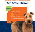 NaturVet Suplemento Todo en Uno para Perros - Articulaciones, Digestión, Piel y Pelaje - Multivitamínico con Minerales, Omega 3, 6, 9 - 60 Masticables Blandos