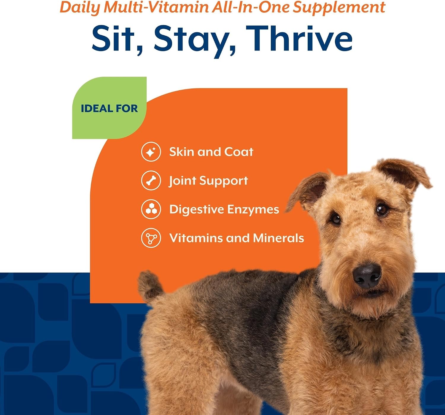 NaturVet Suplemento Todo en Uno para Perros - Articulaciones, Digestión, Piel y Pelaje - Multivitamínico con Minerales, Omega 3, 6, 9 - 60 Masticables Blandos