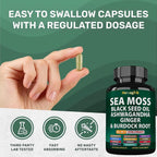 StrongVit Cápsulas de Sea Moss Orgánico con Aceite de Semilla Negra, Ashwagandha y Jengibre, Raíz de Bardana y Vejiga de Mar, Suplemento Multimineral Avanzado