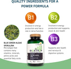 Bioxtron Gomitas de Células Madre - Espirulina, Vitaminas B y Magnesio - 60 Unidades