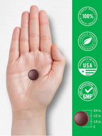 Carlyle Kids B Complex Gummies | 90 Gominolas | Con Vitaminas B1, B2, B6, B12 y Extracto de Ashwagandha | Sabor Melocotón y Frambuesa | Vegano, Sin Gluten y No-GMO