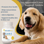 Ayush Pet Livit-2 - Suplemento Hepático Natural para Mascotas (90 Dosis)