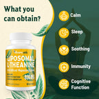 Vivaravida L-Theanina 800mg con GABA y Glicinato de Magnesio - Compuesto Natural para el Sueño y la Relajación (60 Cápsulas Blandas)