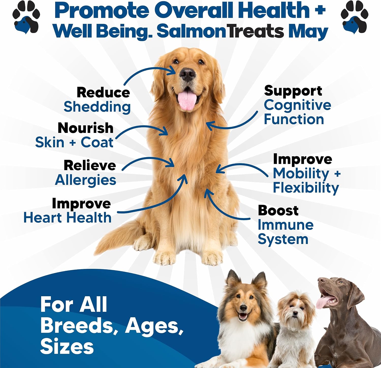 PlanoPaws Wild Alaskan Salmon Oil Chews para Perros - Omega 3 - 120 Unidades