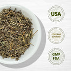 Estafiate (Mugwort) 8 oz - Evergreen Herbs