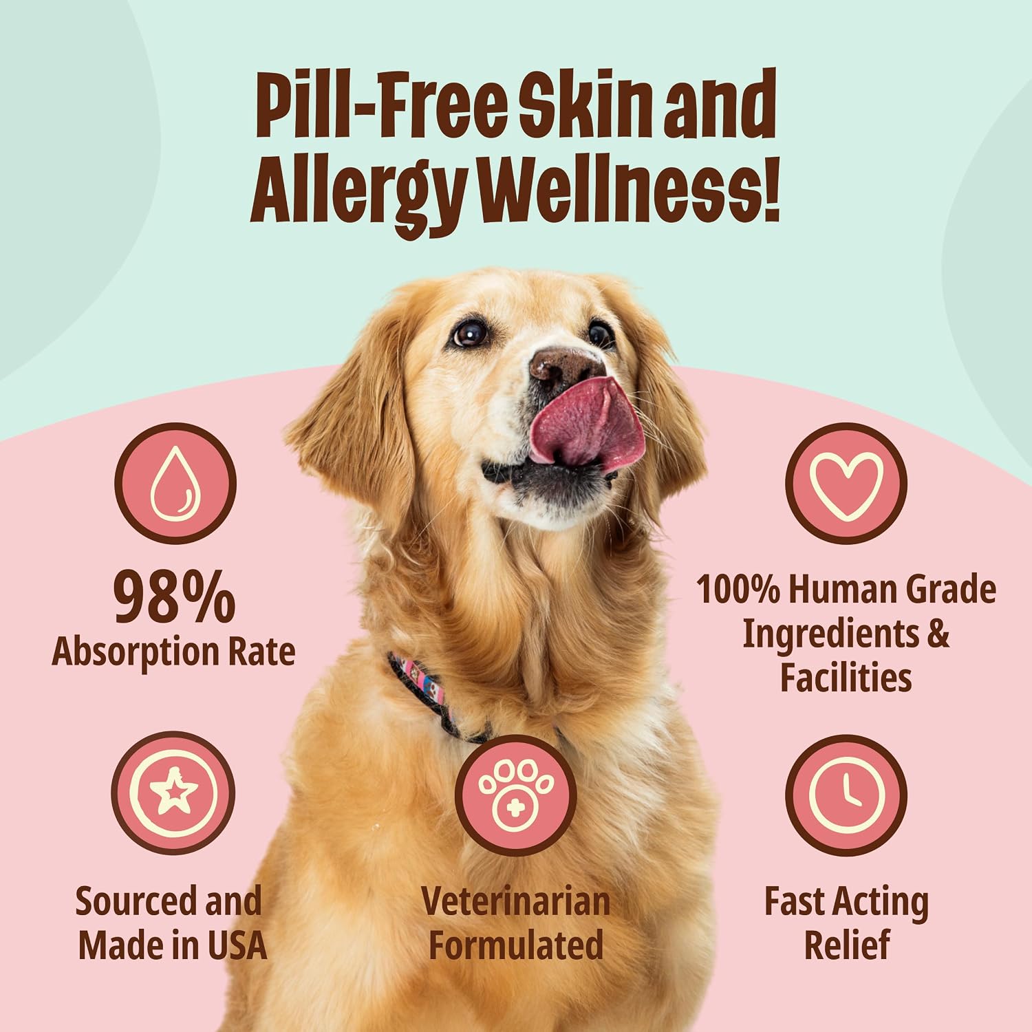 Licks Skin & Allergy Support - Gel de alergia para perros con Omega 3, cúrcuma y vitamina C - Soporte para la humedad de la piel y el pelaje - Sabor a pescado - 10 unidades