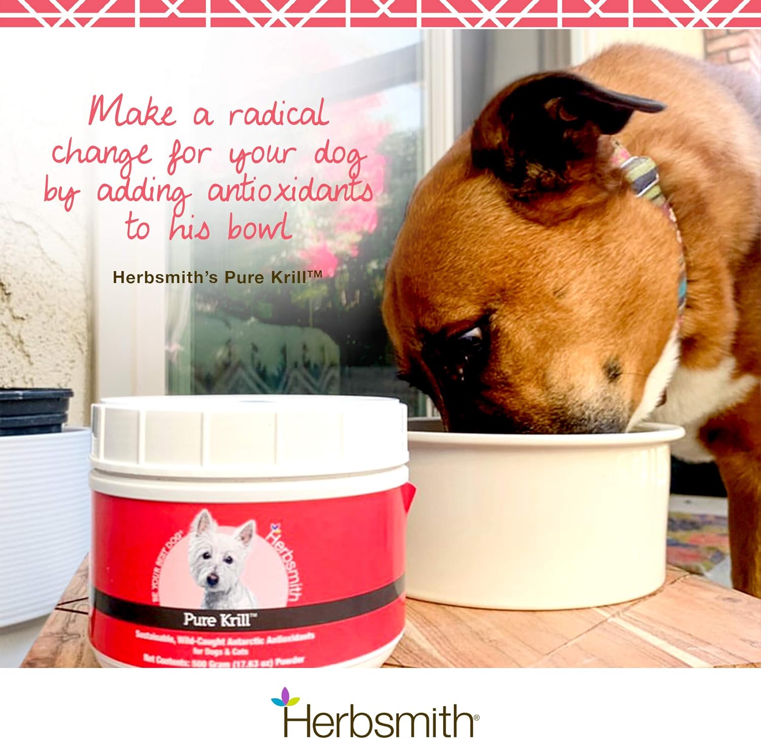 Herbsmith Pure Krill - Krill Antártico Salvaje - Sólo 1 Ingrediente - Astaxantina para Perros - Omega 3 Listos para Usar – Alternativa al Aceite de Krill para Perros - 75g