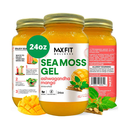 Gel de Sea Moss con Ashwagandha y Mango | 24oz - Wildcrafted Gold Sea Moss | MAX FIT – Image 1