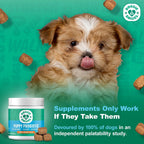Doggie Dailies Probiótico para Cachorros, Probióticos con Enzimas Digestivas, Apoya la Salud Digestiva e Inmunológica, Sabor Calabaza, 120 Masticables Blandos