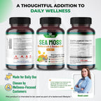 Ultra Herbs Cápsulas de Sea Moss con Aceite de Nigella, Ashwagandha, Vitamina D3 y C | 12 en 1 | Apoyo Inmunológico | 150 Cápsulas | Sin Gluten | No GMO