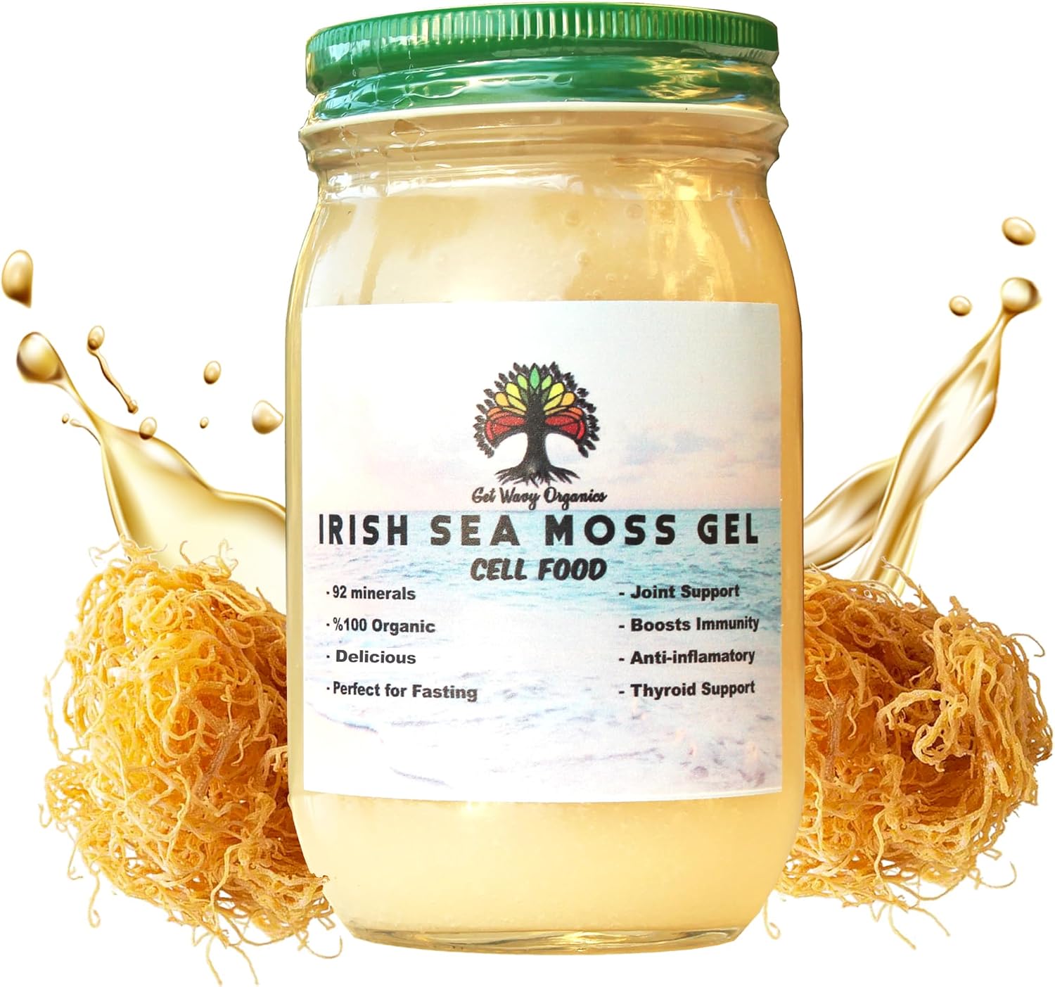Gel de Musgo de Mar Irlandés Silvestre de GET WAVY ORGANICS – Vegano, No OGM, Sin Gluten (Pack de 1)