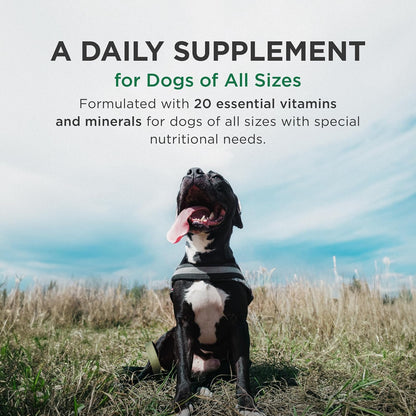 Pet-Tabs Plus - 180 Comprimidos Masticables para Perros – Image 3