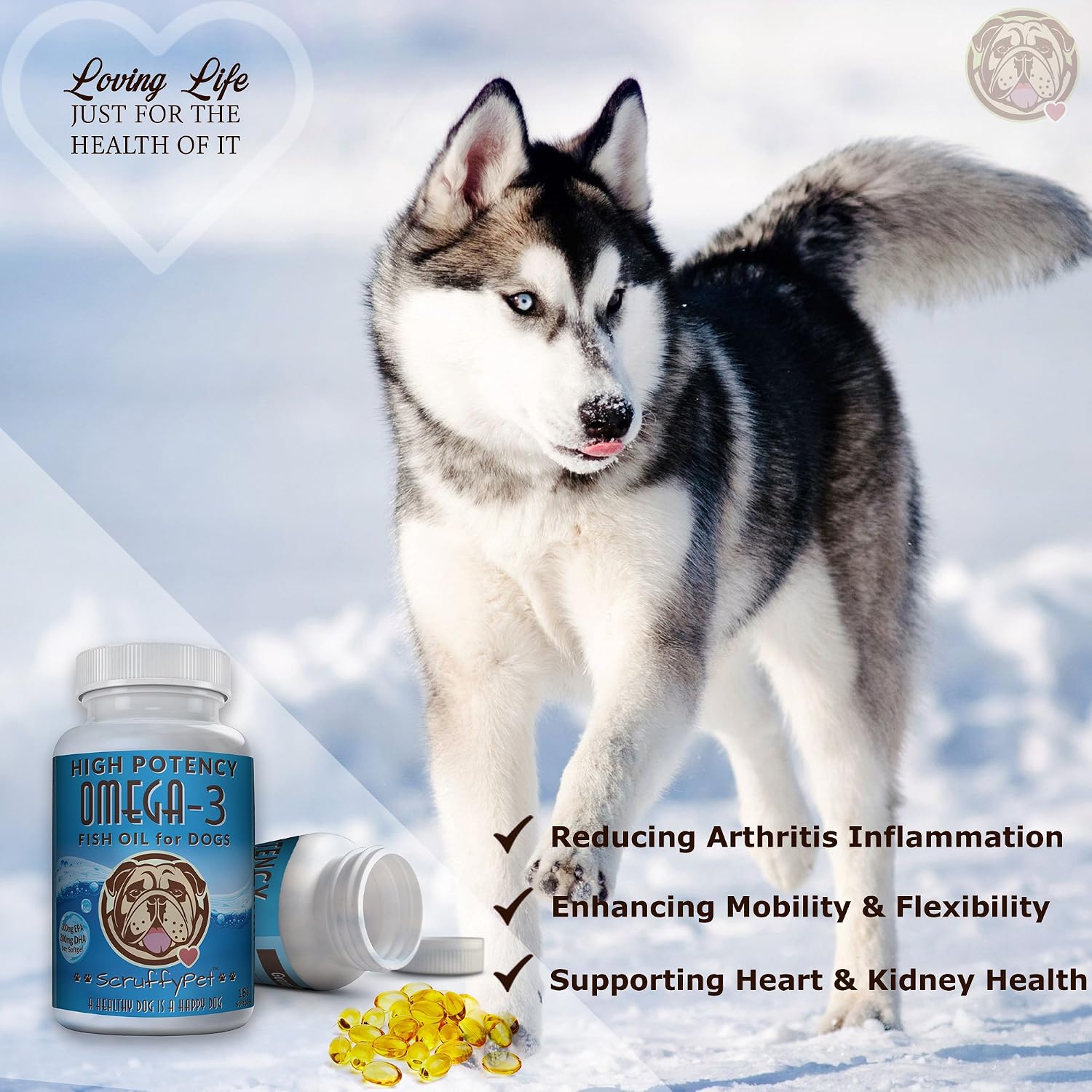 ScruffyPet Aceite de Pescado Salvaje Omega 3 Puro para Perros con Vitamina E - 180 Cápsulas