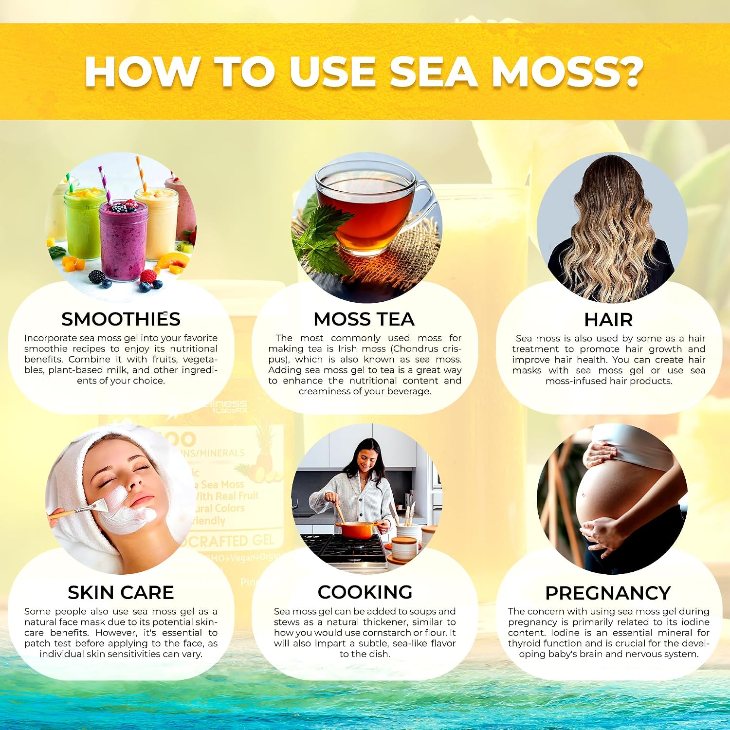 WELLNESS LABSRX Irish Sea Moss Gel Raw - Wildcrafted Superfood Seamoss Gel - Sabor Piña - 10 oz (283 g)
