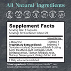 Dragon Herbs - Tao in a Bottle Cápsulas | Fórmula Herbal Adaptógena para el Estrés, Estado de Ánimo y Concentración (60 Cápsulas, 450 mg cada una)