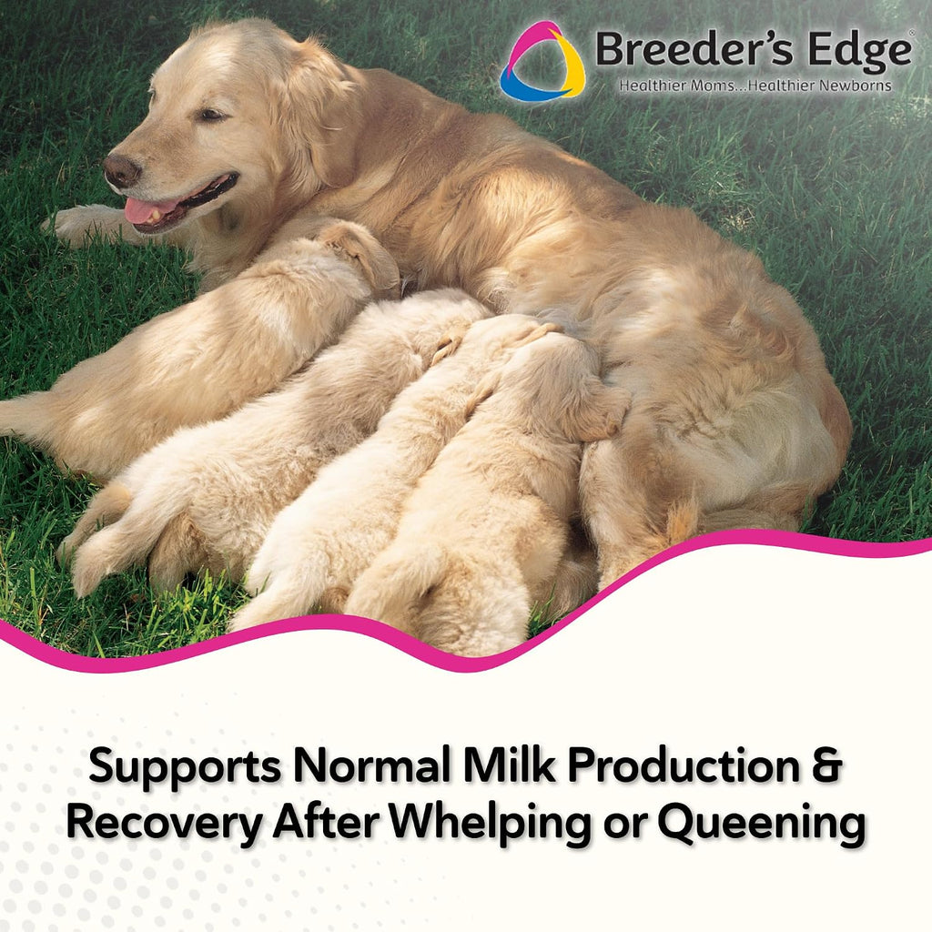 Breeder's Edge Oxy Momma - Complemento postnatal para perros y gatos, 40 unidades