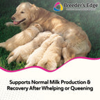 Breeder's Edge Oxy Momma - Complemento postnatal para perros y gatos, 40 unidades