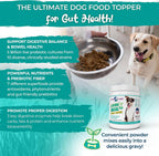 Vital Planet Living Meal Alimento para Perros en Polvo con Enzimas, Superalimentos y Probióticos - 111 g (30 dosis)