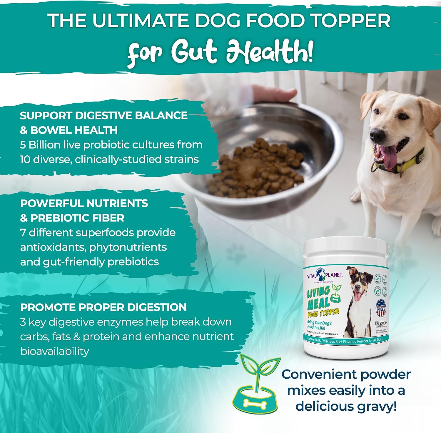 Vital Planet Living Meal Alimento para Perros en Polvo con Enzimas, Superalimentos y Probióticos - 111 g (30 dosis)