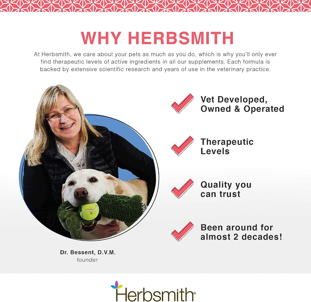 Herbsmith Senior Dog Wisdom – Complemento para la salud cerebral en perros senior – 150 g