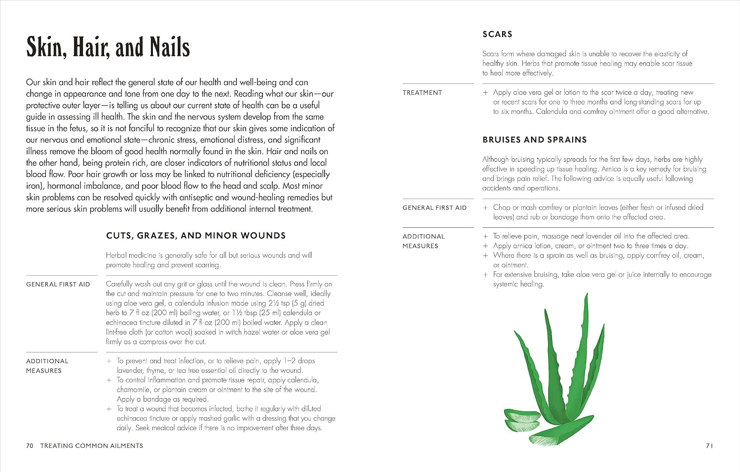 The Home Herbal: Remedios Herbales Restaurativos para la Mente, el Cuerpo y el Alma