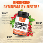 WELBUDA Berberine Supplement with Organic Gymnema Sylvestre Leaf - 60 Capsules