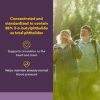 Extracto de Semilla de Apio de Natural Factors – Suplemento Herbal para la Circulación, 60 Cápsulas