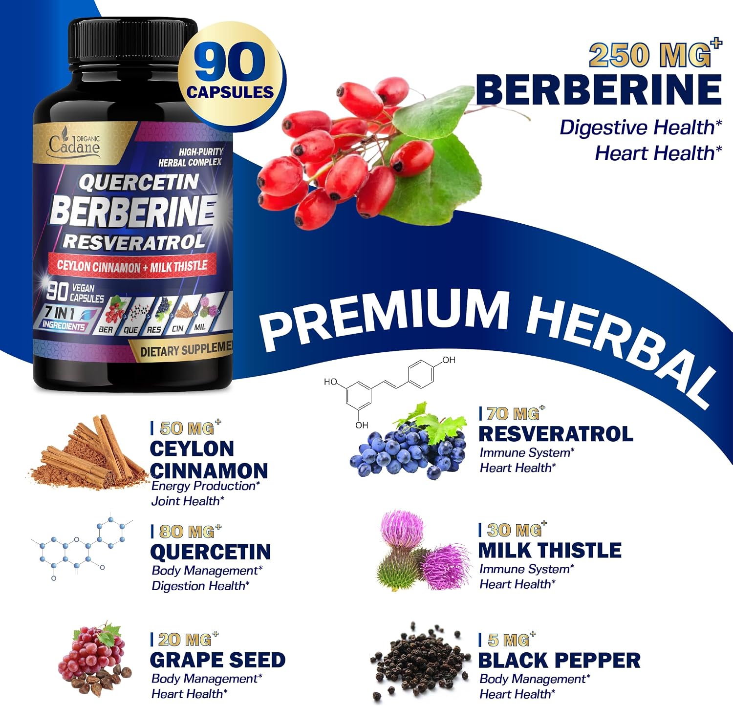 Organic Cadane Berberina 7en1 - 90 Cápsulas - Suplemento con Quercetina y Canela