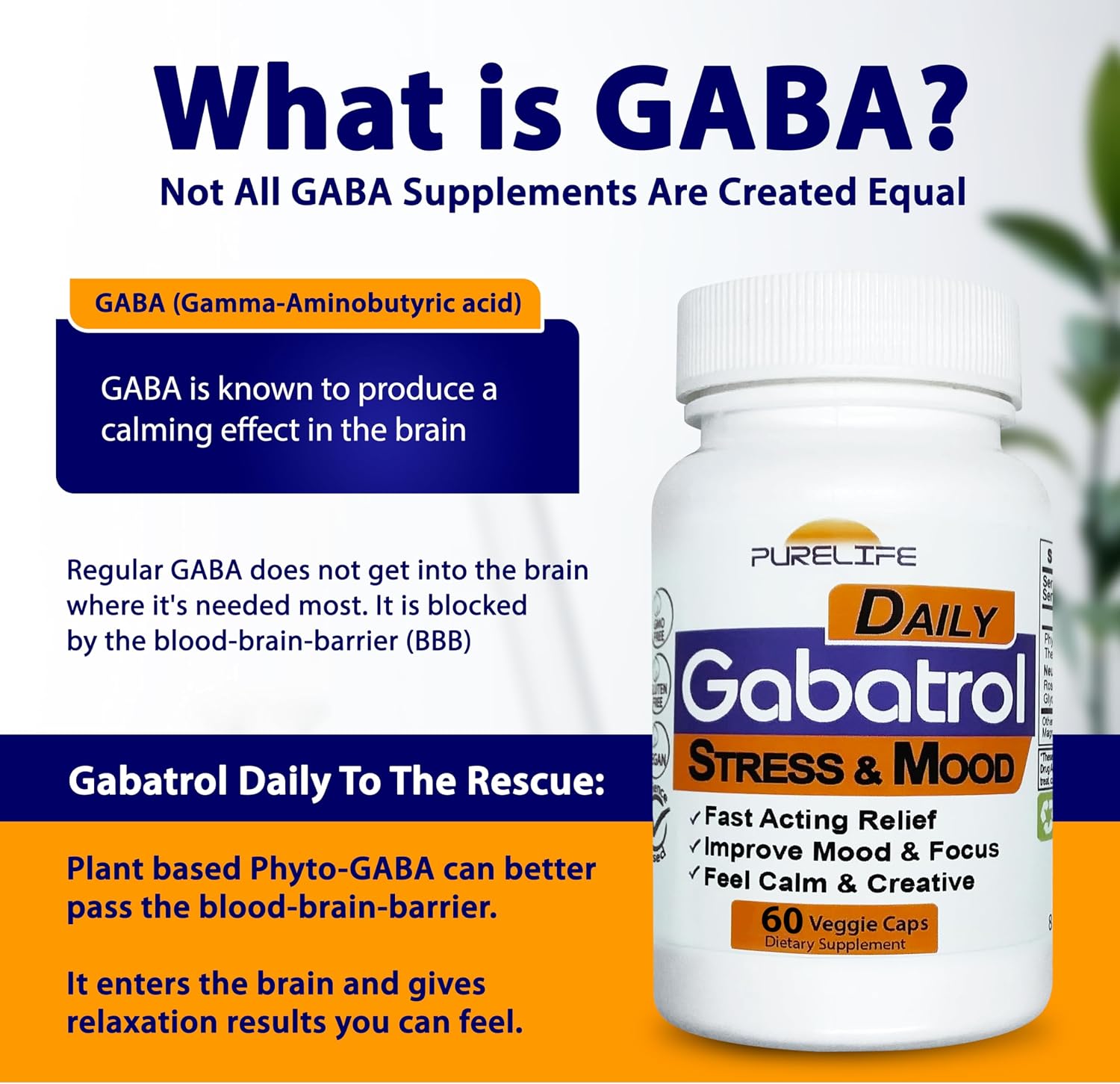 Gabatrol Daily – Suplemento de GABA de Origen Vegetal (60 Cápsulas)