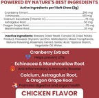 Chew + Heal Labs Suplemento de Arándano para Perros – Apoyo Urinario Natural, 240 Golosinas Blandas (2 Paquetes de 120)