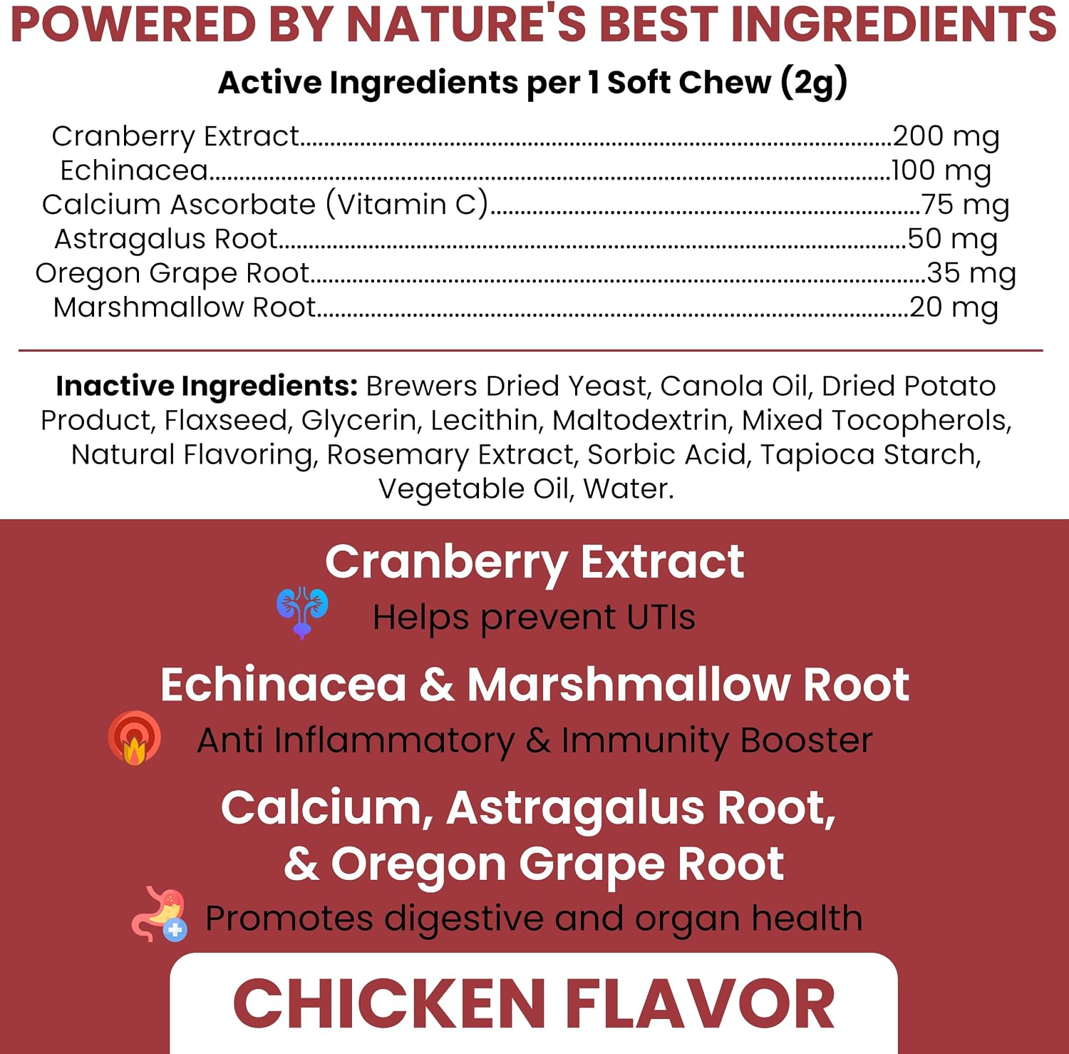 Chew + Heal Labs Suplemento de Arándano para Perros – Apoyo Urinario Natural, 240 Golosinas Blandas (2 Paquetes de 120)