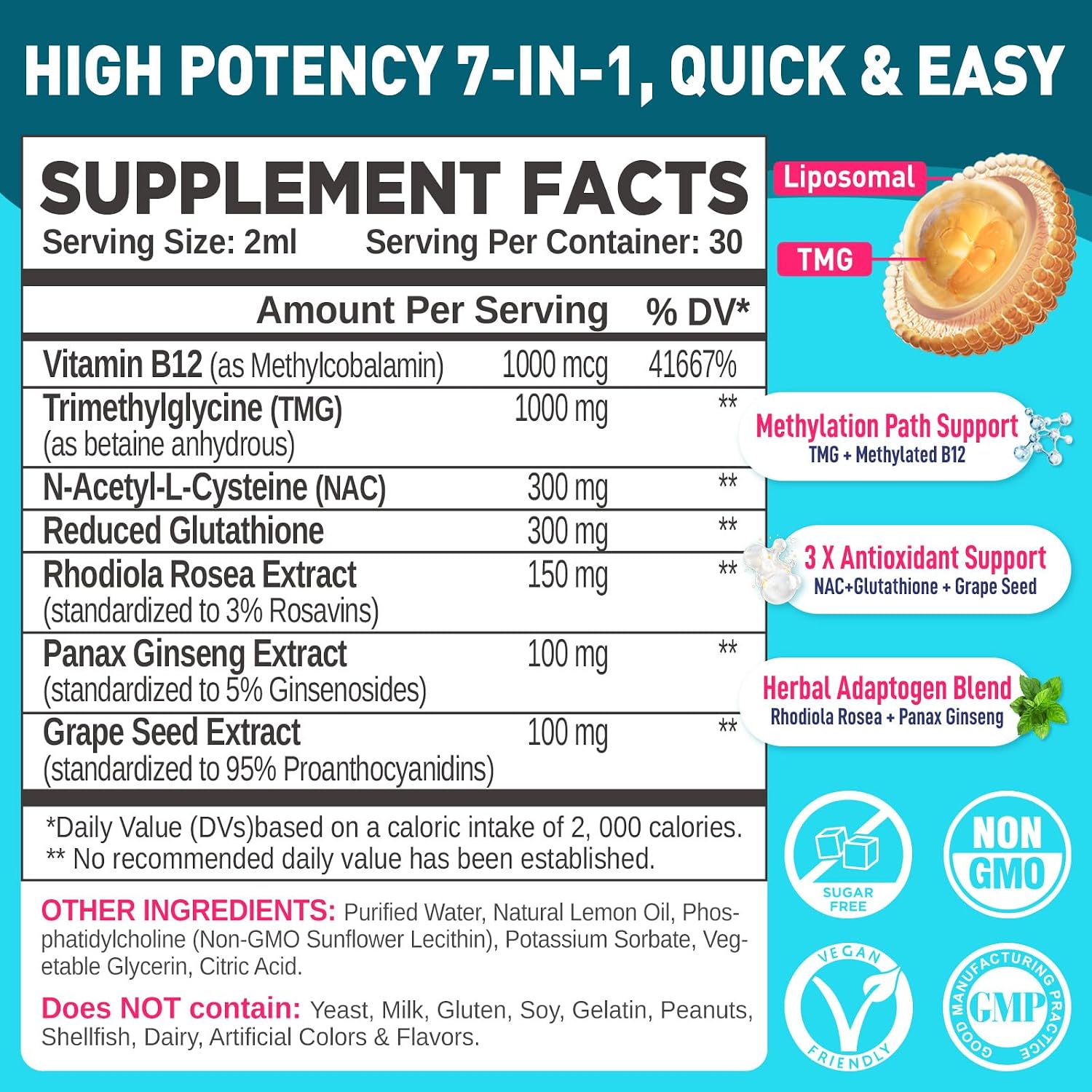 HOLLEGEND Liposomal TMG Suplemento Líquido, 1000mg Trimetilglicina como Betaína Anhidra, Alta Absorción, 60 ml