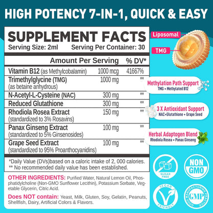 HOLLEGEND Liposomal TMG Suplemento Líquido, – Contribuye a la protección de las células frente al estrés oxidativo. – Image 2