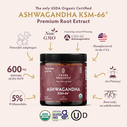 TRIBE ORGANICS Ashwagandha KSM-66 600 mg - Extracto de raíz orgánico - 120 cápsulas – Image 2