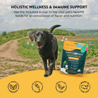 Happy Go Healthy Suplemento Diario de Bienestar para Perros, 21 Dosis