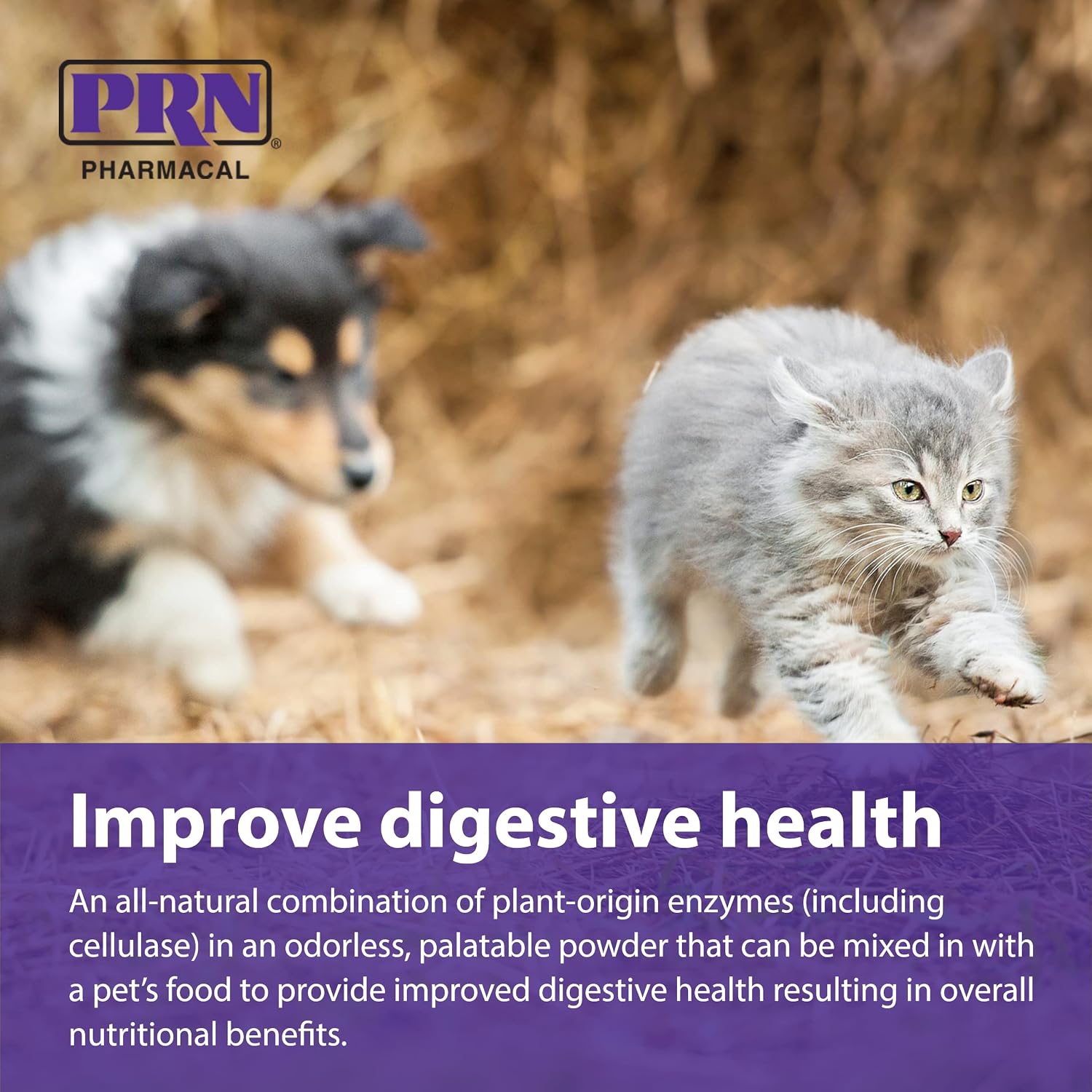 PRN Pharmacal ProZyme - Digestive Enzyme Supplement for Dogs and Cats - 85 g