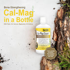 Vital Earth Minerals Bone & Wellness Support – Cal Mag Líquido + Super Multi, Multivitamínico Líquido, 2x946 ml
