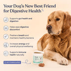 Pawfy Probióticos para Perros | Salud Digestiva y Piel | 30 Chews de Pollo