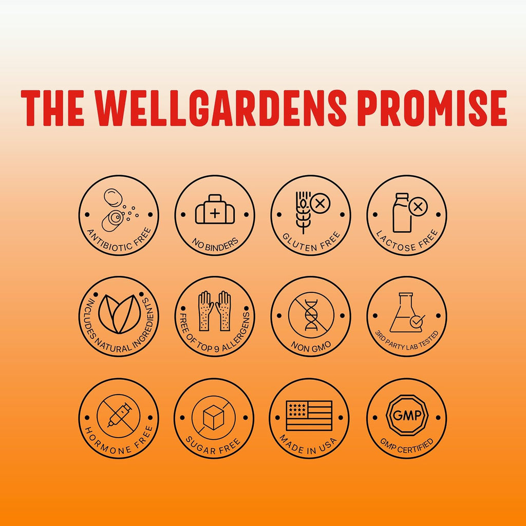 Wellgardens Multivitamínico Diario para Mujeres con Biotina, Arándano Rojo y Trébol Rojo - Apoyo para Cabello, Piel, Energía e Inmunidad - Vitaminas A, C, D, E, B12, Zinc - Sin Hierro, No Transgénico, 60 Cápsulas
