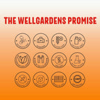 Wellgardens Multivitamínico Diario para Mujeres con Biotina, Arándano Rojo y Trébol Rojo - Apoyo para Cabello, Piel, Energía e Inmunidad - Vitaminas A, C, D, E, B12, Zinc - Sin Hierro, No Transgénico, 60 Cápsulas