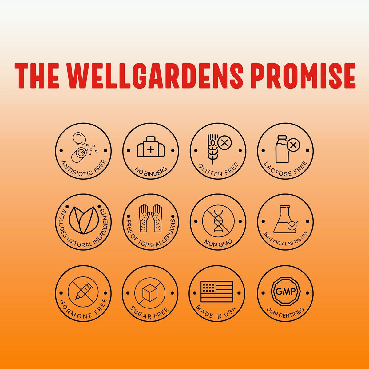 Wellgardens Multivitamínico Diario para – Vitaminas A, C, D, E y grupo B completo: La vitamina A contribuye al – Image 6