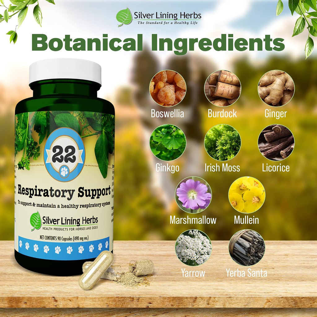 Respiratory Support for Dogs - Herbal Blend with Mullein, Ginger, Boswellia, and Yerba Santa - 90 Capsules