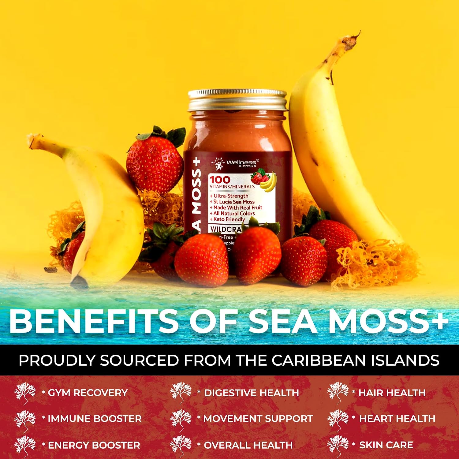 Irish Sea Moss Gel Raw - Wildcrafted Superfood Seamoss Gel - Sabor Fresa Plátano - 10 oz