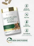 Carlyle Extracto de Raíz de Diente de León - 300 Cápsulas | Taraxacum Officinale