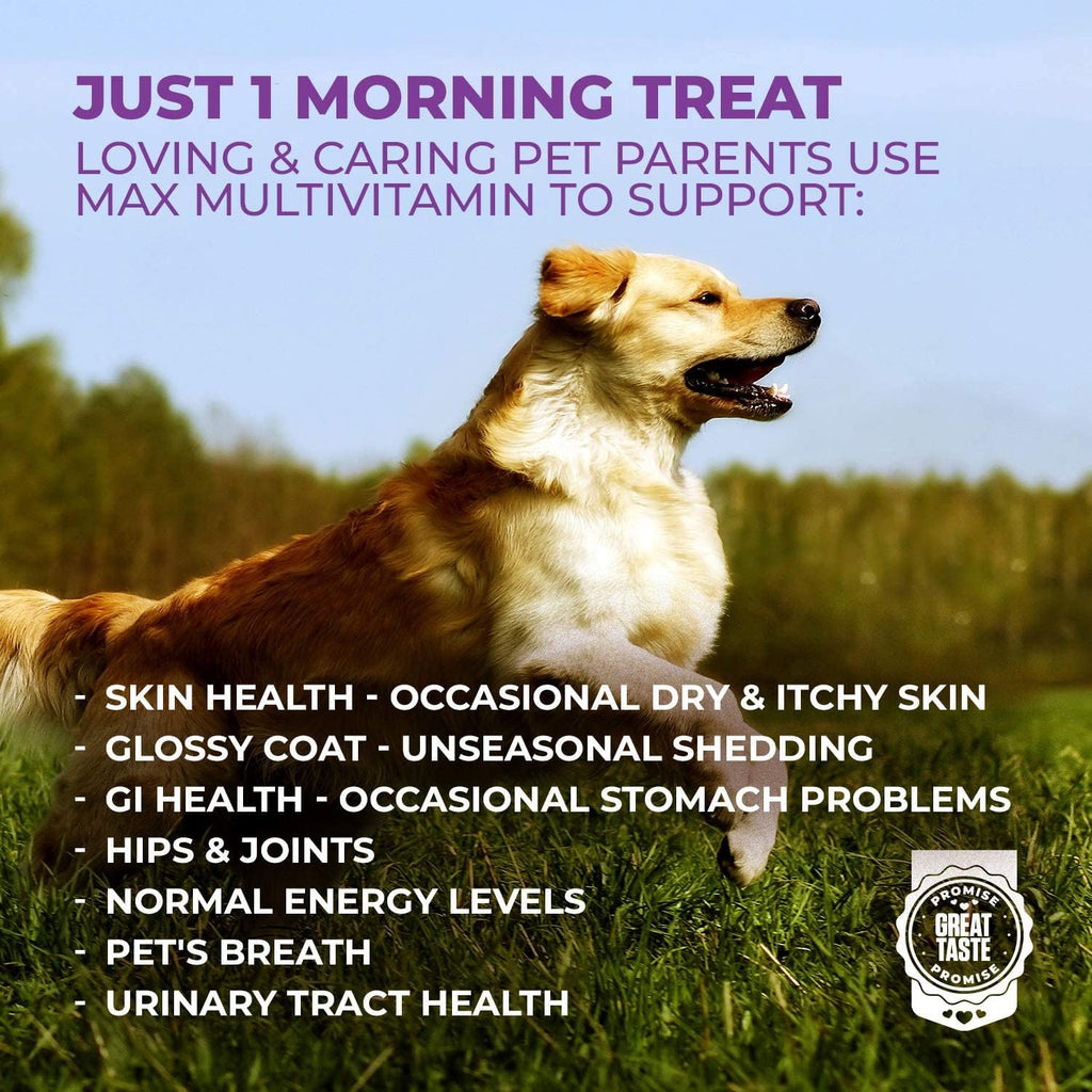 MAX Dog Multivitamin - Multivitamínico para Perros Senior y Adultos 10 en 1