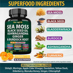 StrongVit Cápsulas de Sea Moss Orgánico con Aceite de Semilla Negra, Ashwagandha y Jengibre, Raíz de Bardana y Vejiga de Mar, Suplemento Multimineral Avanzado