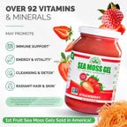 EverSmith Organics - Gel de Musgo Marino Irlandés Silvestre (Wildcrafted) - Fresa - 1 Tarro