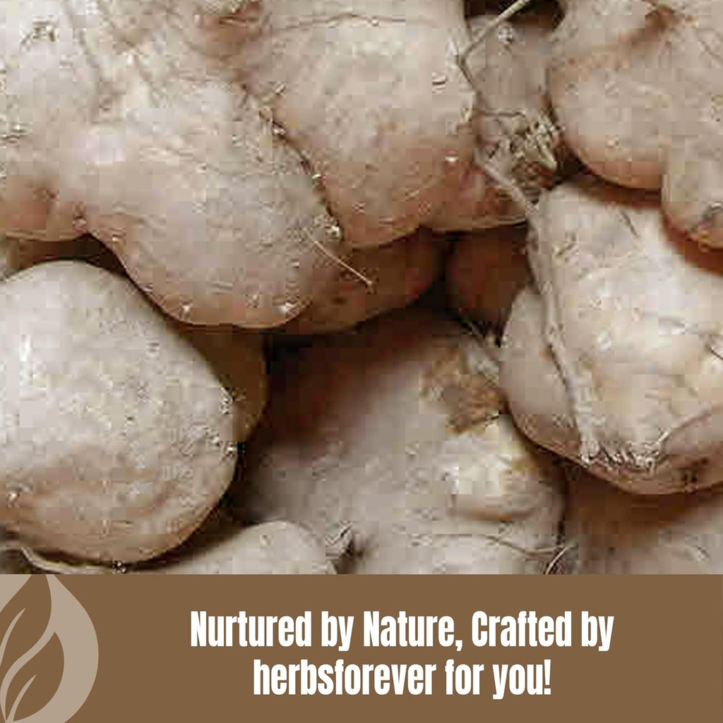 Vidarikanda en Polvo - Pueraria Tuberosa - 454 g - Herbsforever