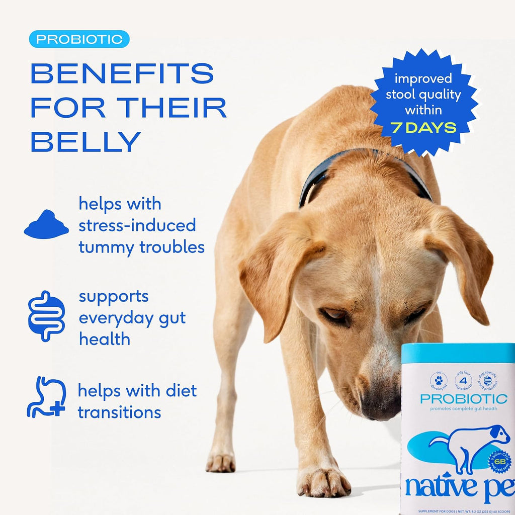 Native Pet Probióticos para Perros – Polvo Probiótico para la Salud Digestiva e Intestinal, Formulado por Veterinarios con 6 Mil Millones de UFC y Cepas Específicas para Perros – 120 Dosis