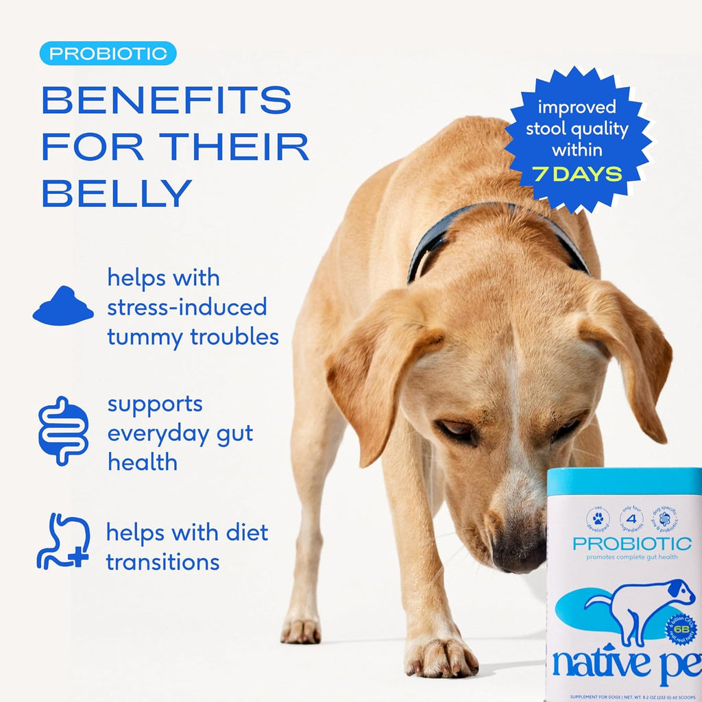 Native Pet Probióticos para Perros – Polvo Digestivo con 6B UFC, 240 dosis